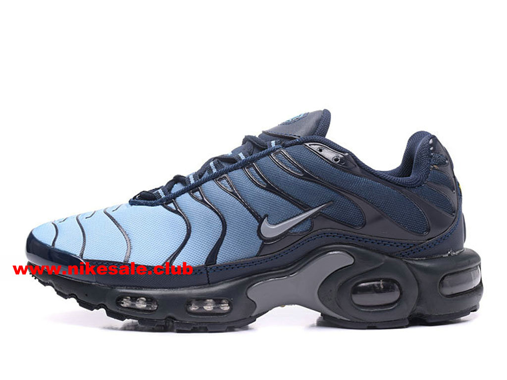 nike tn requin homme bleu